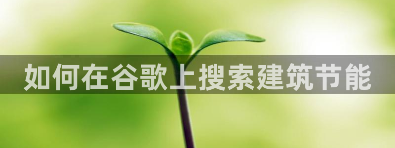 e尊国际平台：如何在谷歌上搜索建筑节能