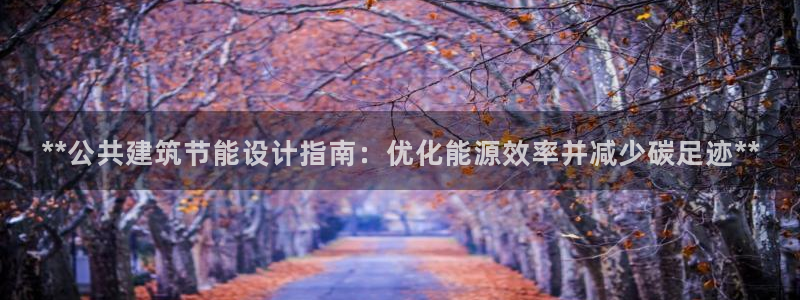 e尊国际客户端：**公共建筑节能设计指南：优化能源效率并减少碳足迹**