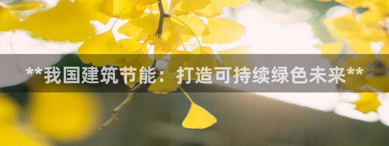 e尊国际网址：**我国建筑节能：打造可持续绿色未来**