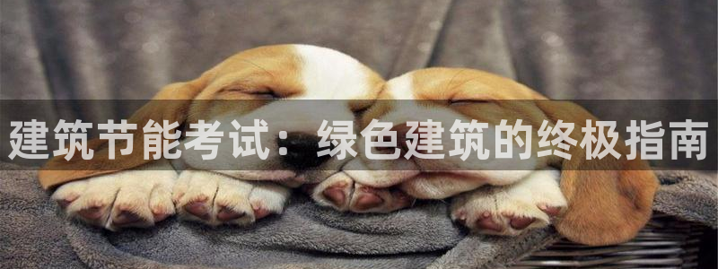 e尊国际可靠吗：建筑节能考试：绿色建筑的终极指南