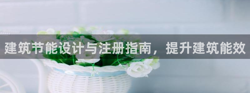 E尊国际：建筑节能设计与注册指南，提升建筑能效