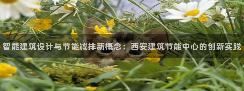 e尊国际可靠吗：智能建筑设计与节能减排新概念：西安建筑节能中心的创新实践
