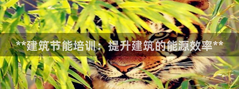 谁知道e尊国际的网址：**建筑节能培训：提升建筑的能源效率**