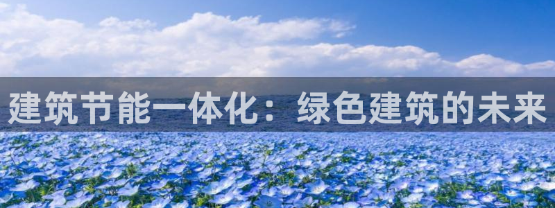 e尊国际官方网站：建筑节能一体化：绿色建筑的未来