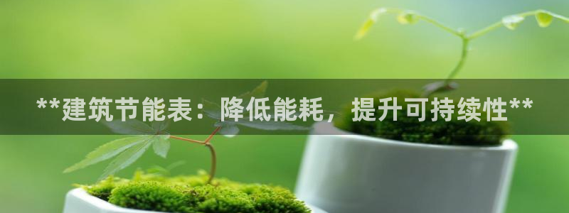 尊亿娱乐国际官网：**建筑节能表：降低能耗，提升可持续性**