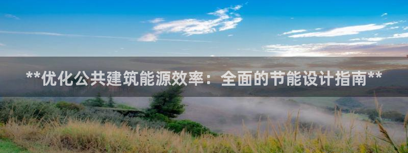 e尊国际-e尊国际官网：**优化公共建筑能源效率：全面的节能设计指南**