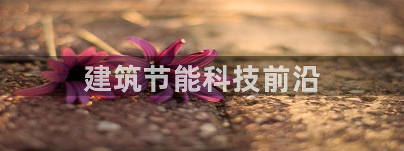 E尊国际网站：建筑节能科技前沿