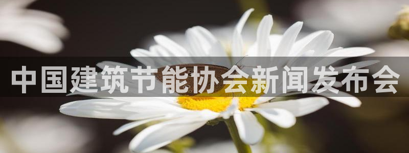 e尊国际的手机登录网站：中国建筑节能协会新闻发布会