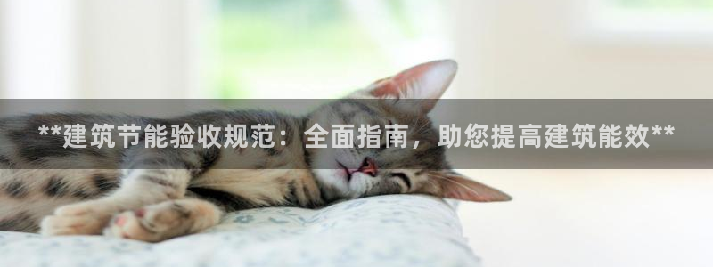 e尊国际7779：**建筑节能验收规范：全面指南，助您提高建筑能效**