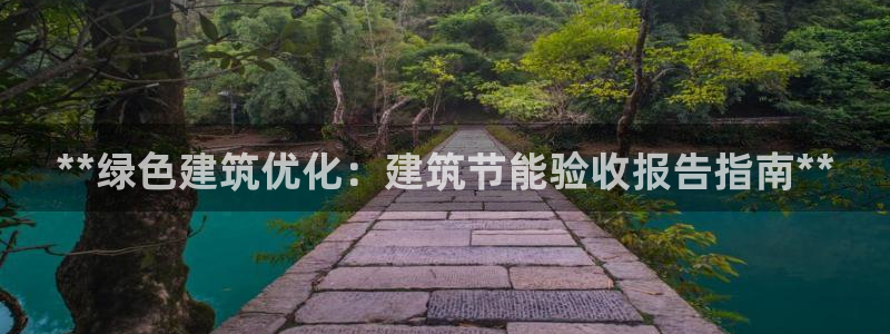 e尊国际是个黑网：**绿色建筑优化：建筑节能验收报告指南**