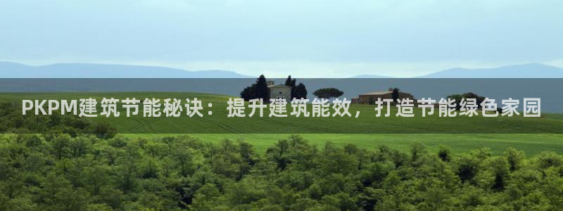 e尊国际7779：PKPM建筑节能秘诀：提升建筑能效，打造节能绿色家园