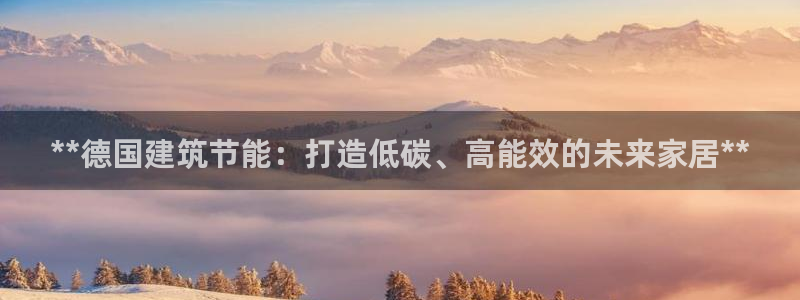 E尊国际网站：**德国建筑节能：打造低碳、高能效的未来家居**