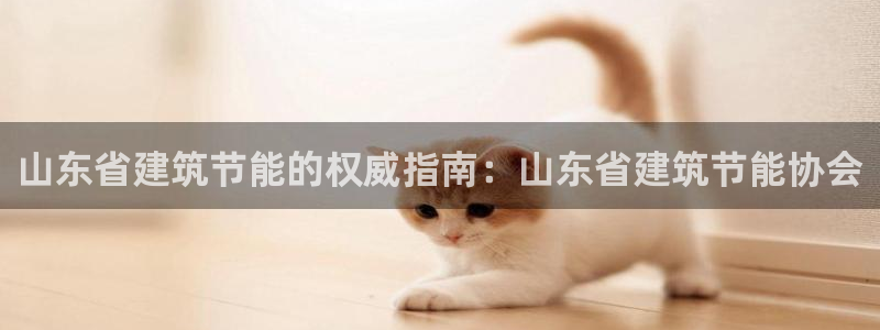 E尊国际：山东省建筑节能的权威指南：山东省建筑节能协会