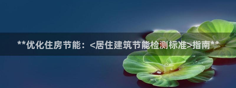 e尊国际是干什么的：**优化住房节能：<居住建筑节能检测标准>指南**
