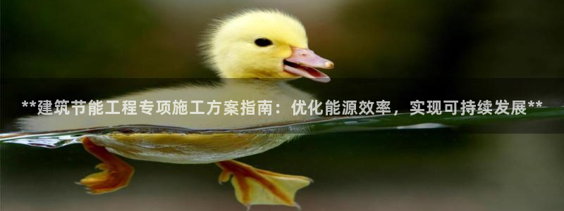 e尊国际娱乐官网地址：**建筑节能工程专项施工方案指南：优化能源效率，实现可持续发展**