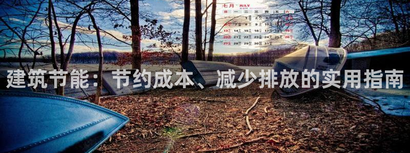 e尊国际平台：建筑节能：节约成本、减少排放的实用指南