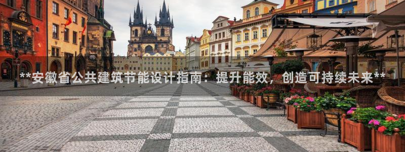 E尊国际网站：**安徽省公共建筑节能设计指南：提升能效，创造可持续未来**