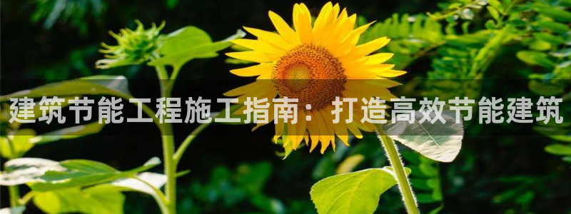 e尊国际官网app：建筑节能工程施工指南：打造高效节能建筑