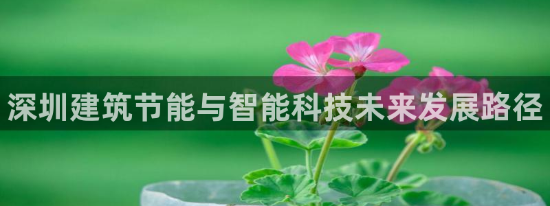 e尊国际是个黑网：深圳建筑节能与智能科技未来发展路径