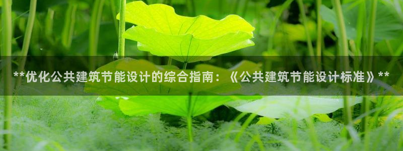 e尊国际客服：**优化公共建筑节能设计的综合指南：《公共建筑节能设计标准》**
