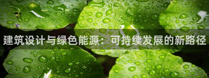e尊国际地址：建筑设计与绿色能源：可持续发展的新路径