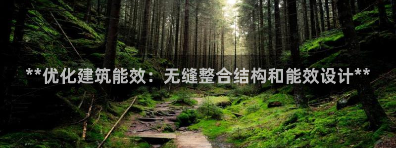 谁知道e尊国际的网址：**优化建筑能效：无缝整合结构和能效设计**