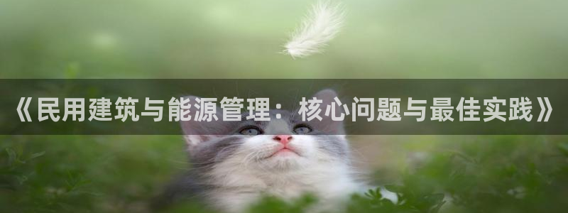 e尊国际-可可计划：《民用建筑与能源管理：核心问题与最佳实践》