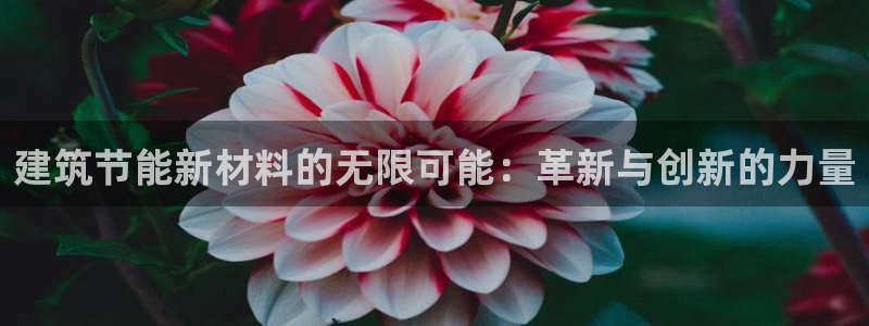 e尊国际平台