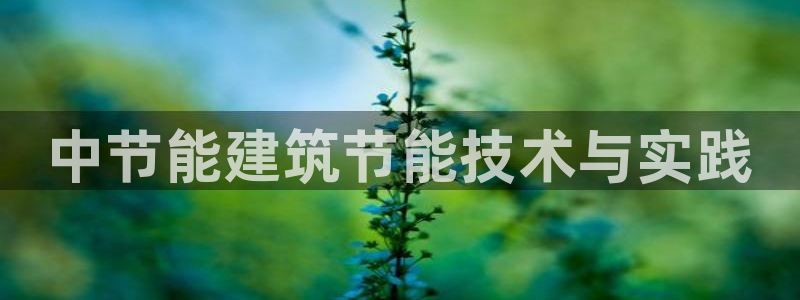 e尊国际官方网站：中节能建筑节能技术与实践