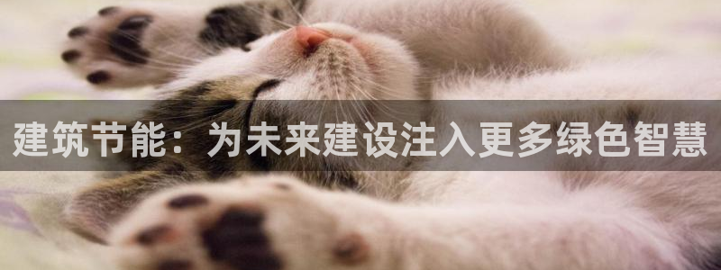 e尊国际地址：建筑节能：为未来建设注入更多绿色智慧
