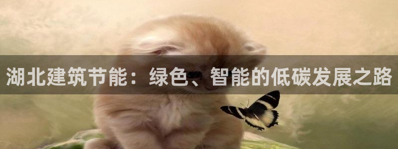 e尊国际-可可计划：湖北建筑节能：绿色、智能的低碳发展之路