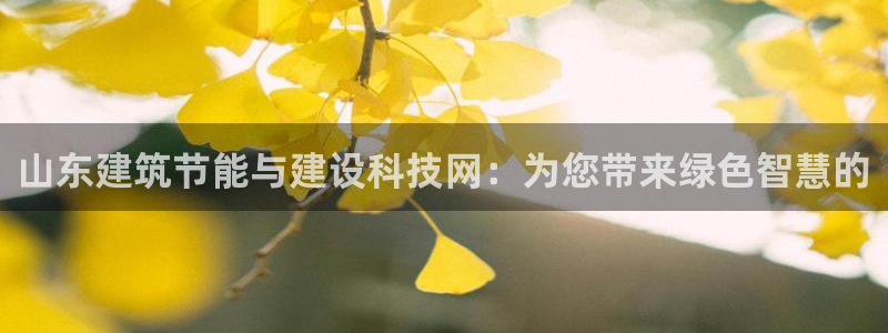 谁知道e尊国际的网址：山东建筑节能与建设科技网：为您带来绿色智慧的
