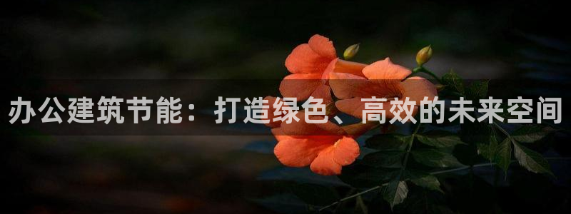e尊国际网址：办公建筑节能：打造绿色、高效的未来空间