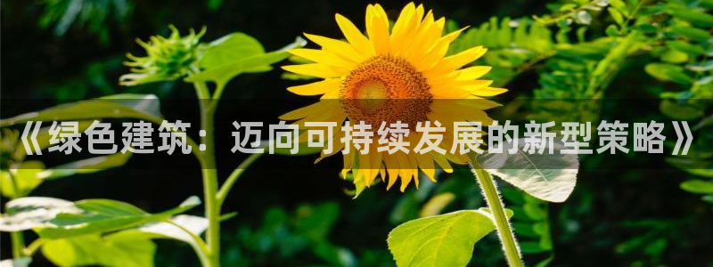 e尊国际娱乐官网下载：《绿色建筑：迈向可持续发展的新型策略》