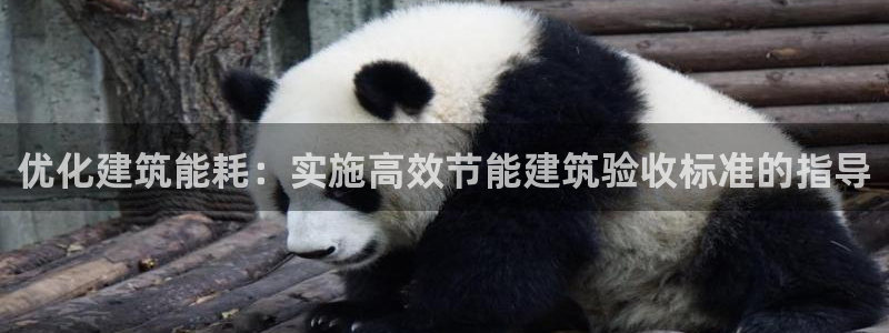 e尊国际-e尊国际官网