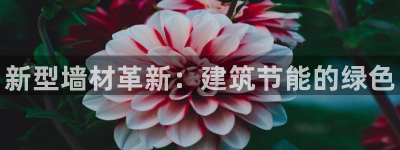 e尊国际平台：新型墙材革新：建筑节能的绿色