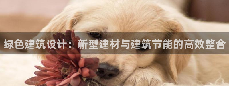 e尊国际客户端下载