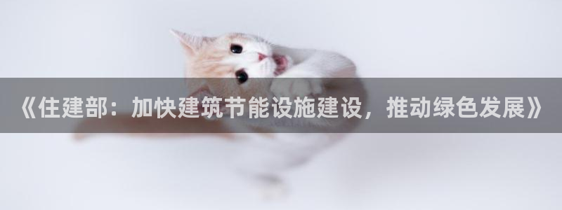 e尊国际客户端