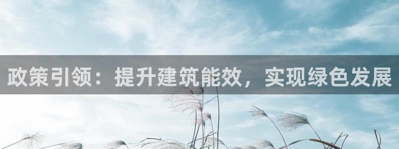 e尊国际平台：政策引领：提升建筑能效，实现绿色发展