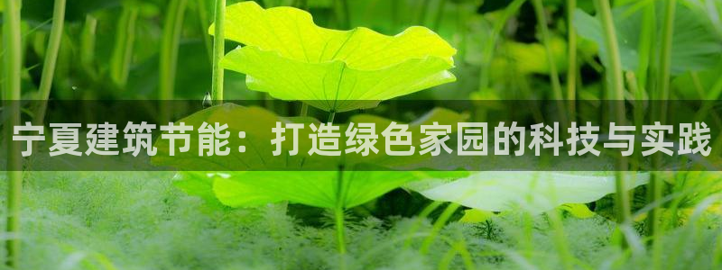 e尊国际-e尊国际官网