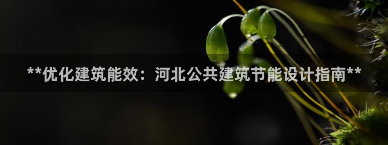 e尊国际7779
